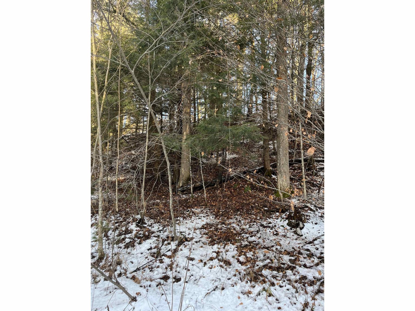 Lot 4 Haley Drive