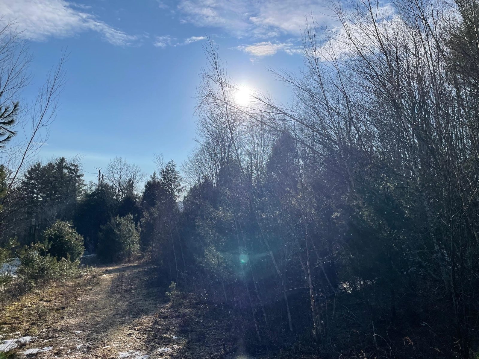 Lot 4 Haley Drive