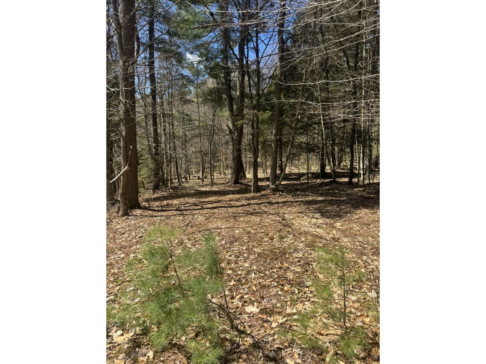Lot 4 Haley Drive