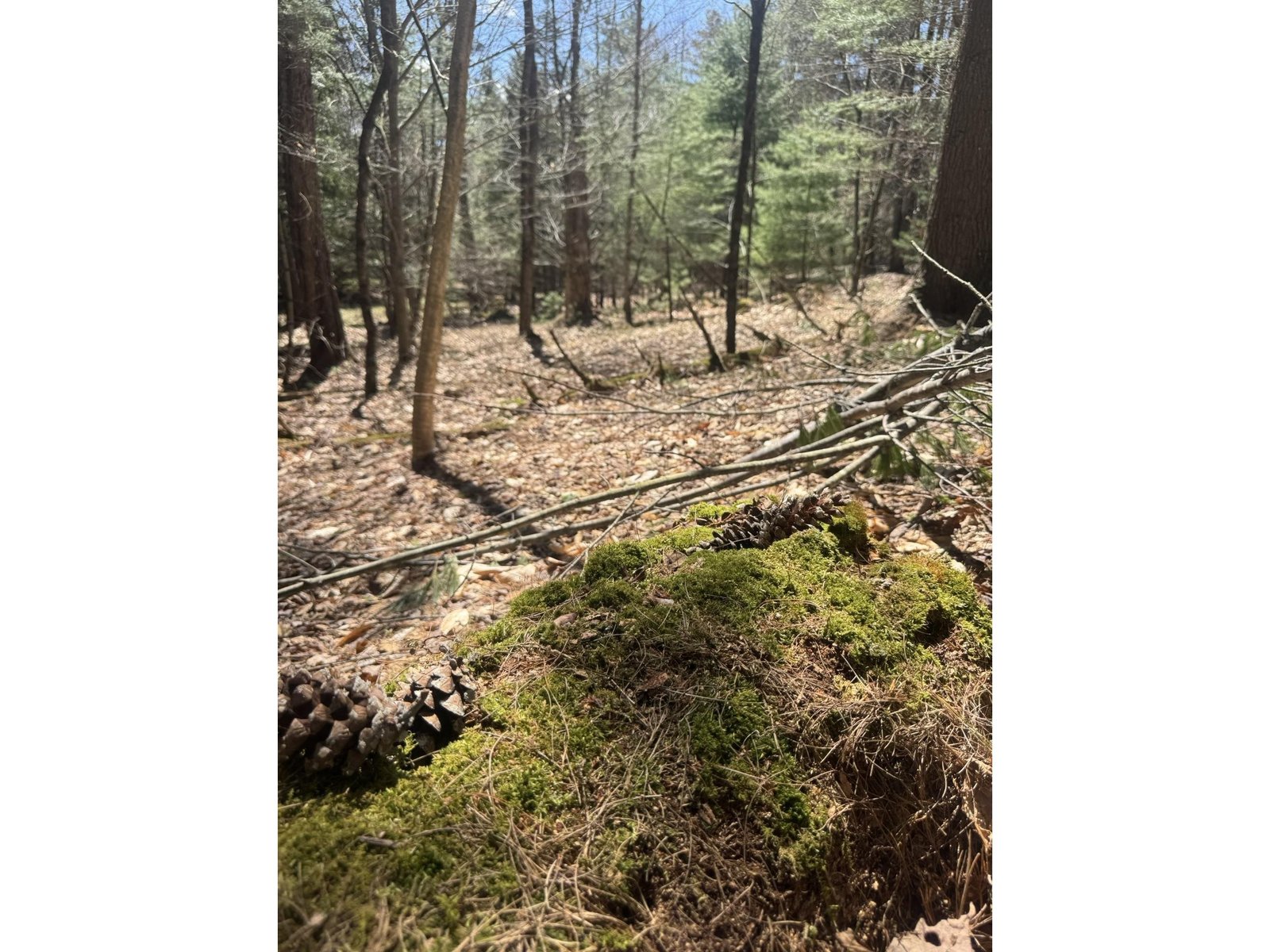 Lot 4 Haley Drive