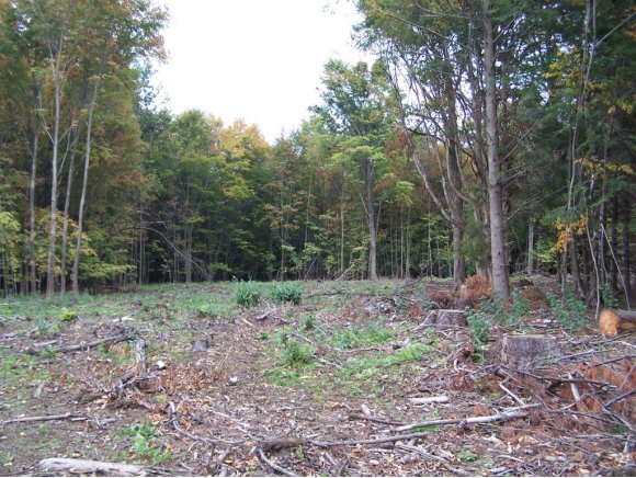 Lot 4 Hardscrabble Rd