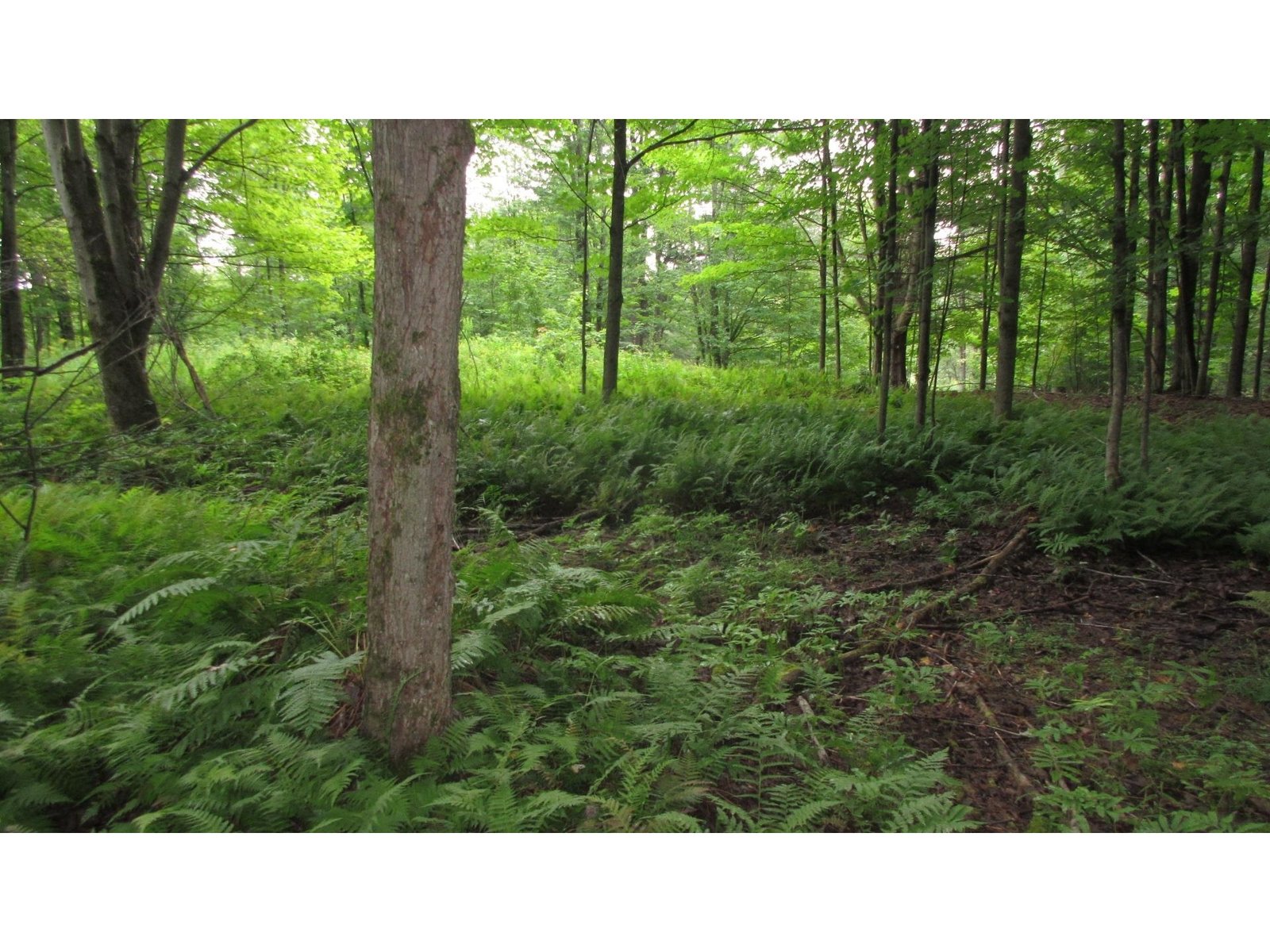 Lot 4 Lapland Extended Road