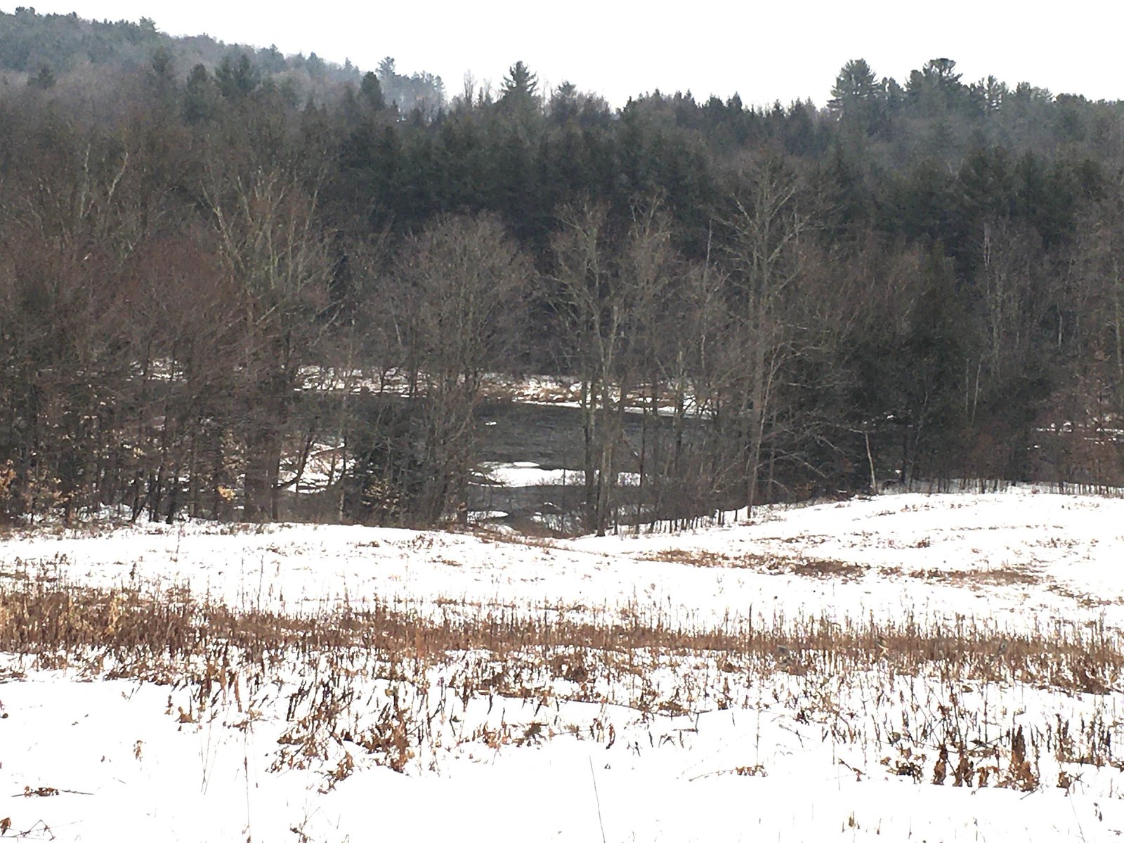 Lot 4 McNall Road