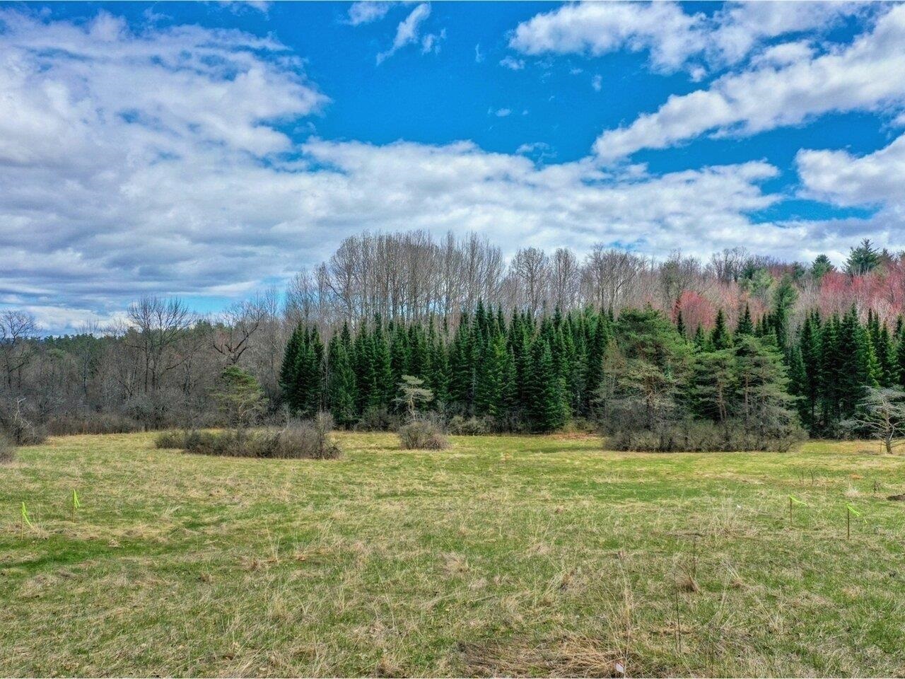 Lot #4 Mount Philo Road, Charlotte