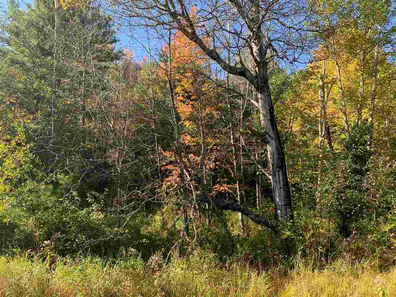 Lot 4 Old Stage Road