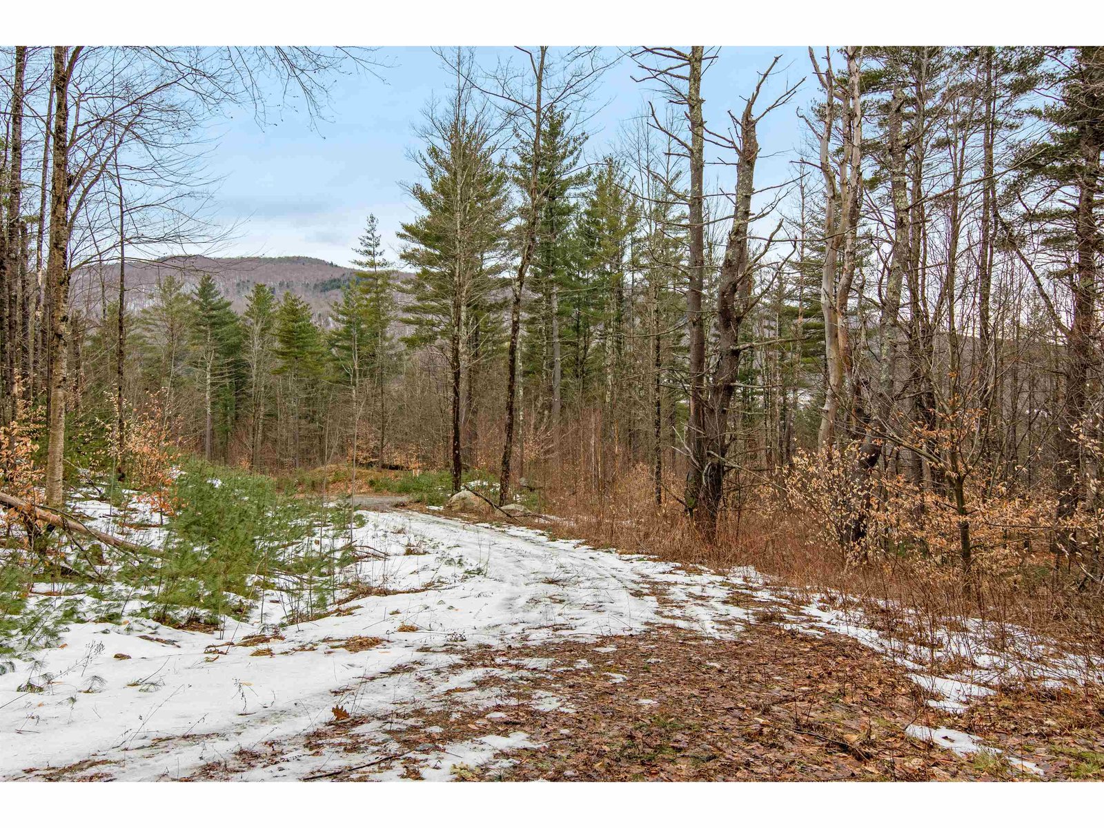 Lot 4 Piney Grove Lane