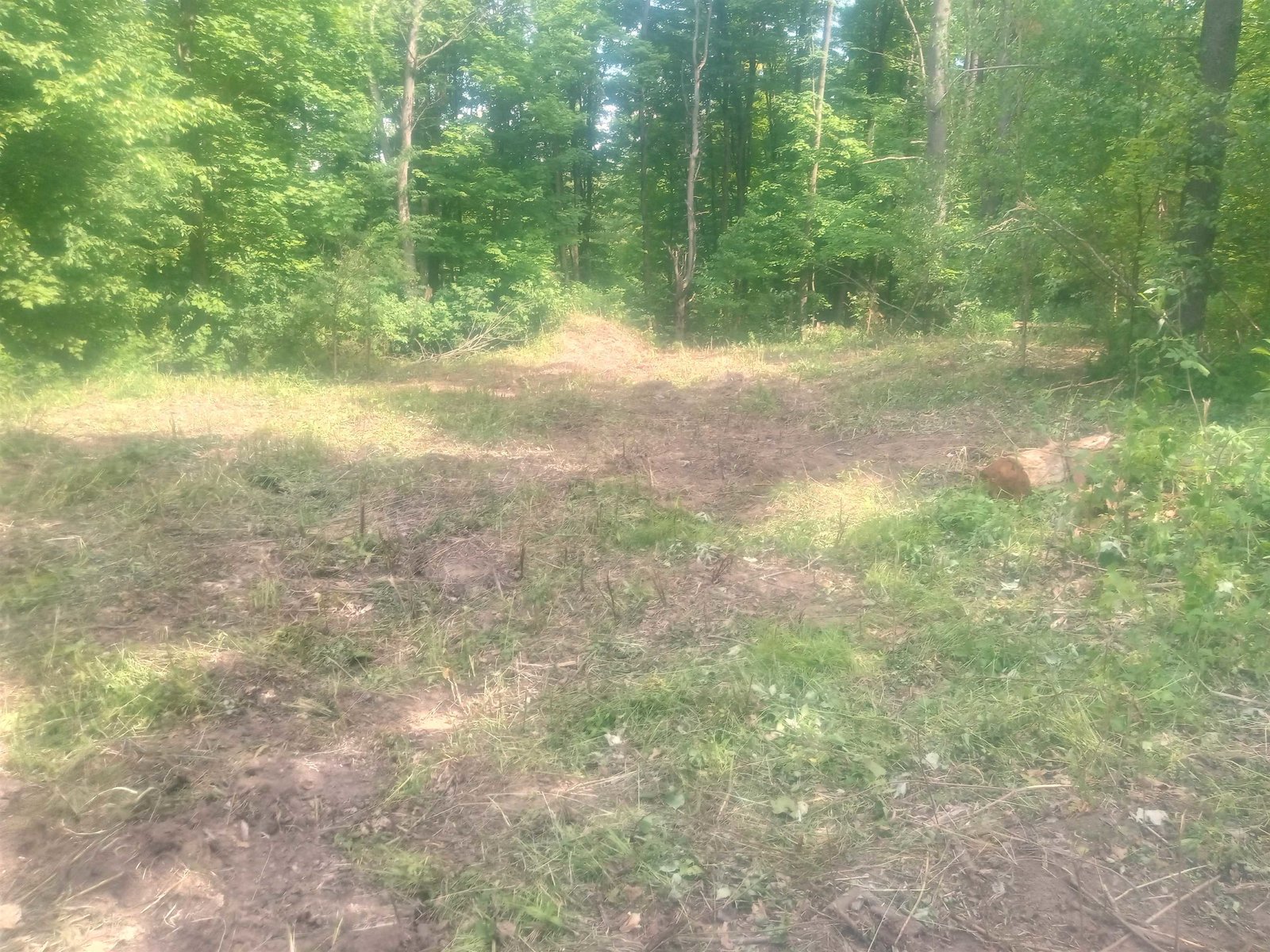 Lot 4 Sweet Bedrock Lane