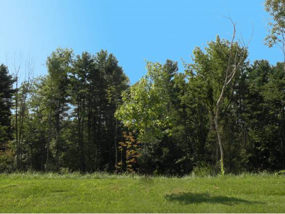 Lot #4 Sycamore Street