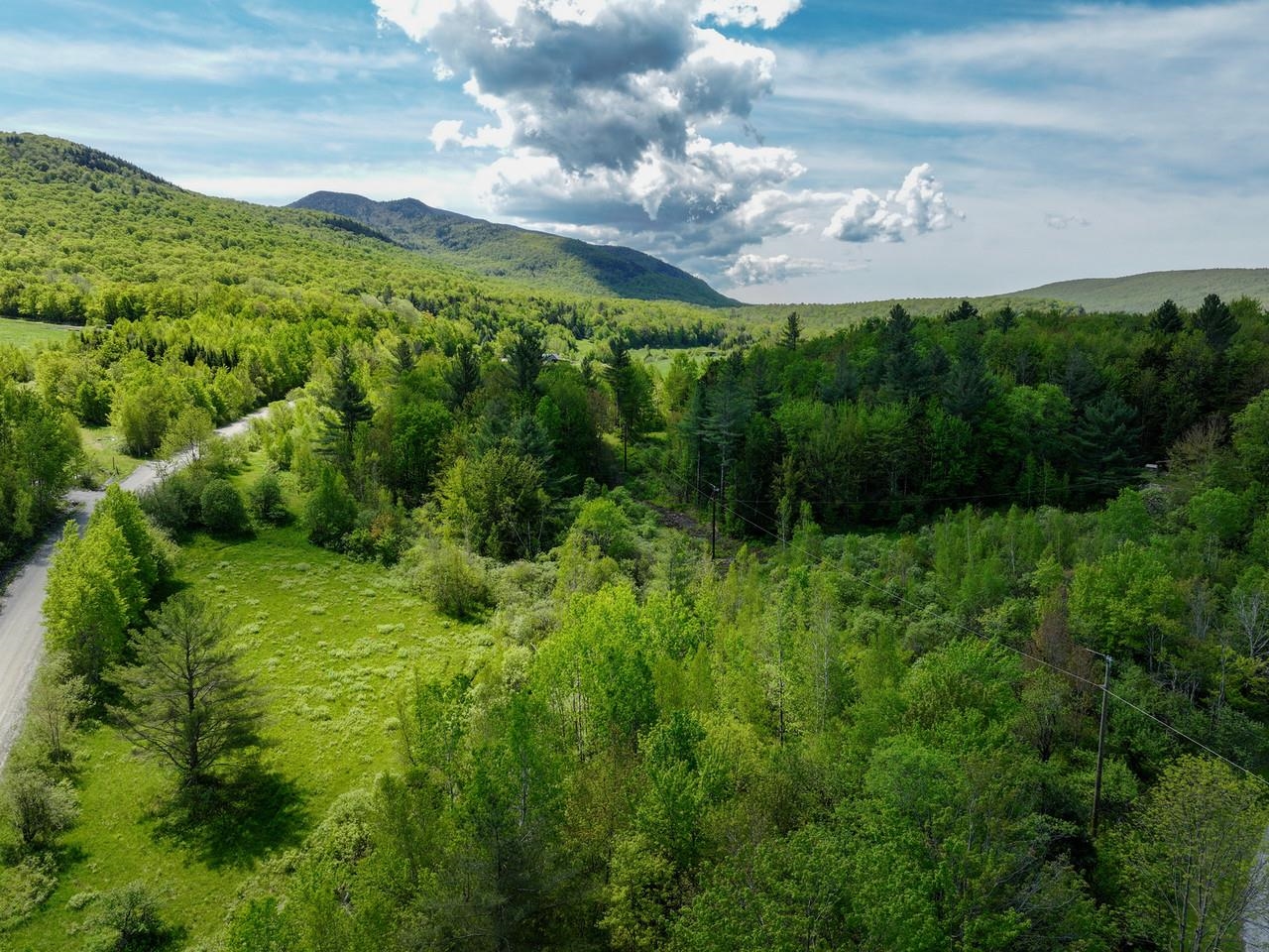 Mix of Open & Wooded
