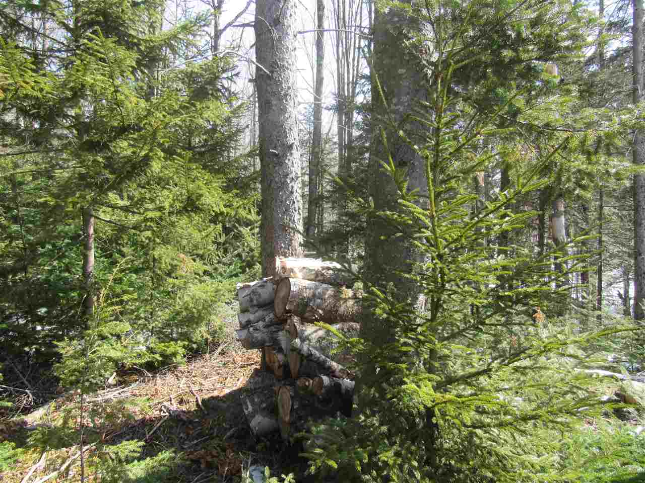 Lot 43 Deer Path