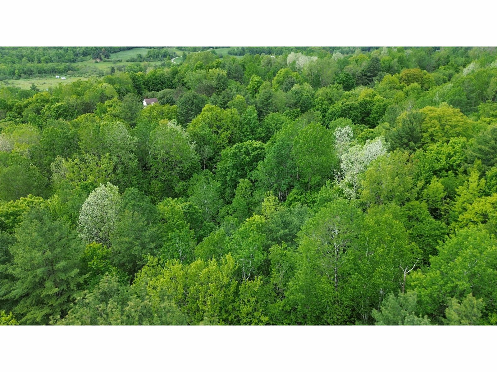 Lot 48 Sugar Hill Road