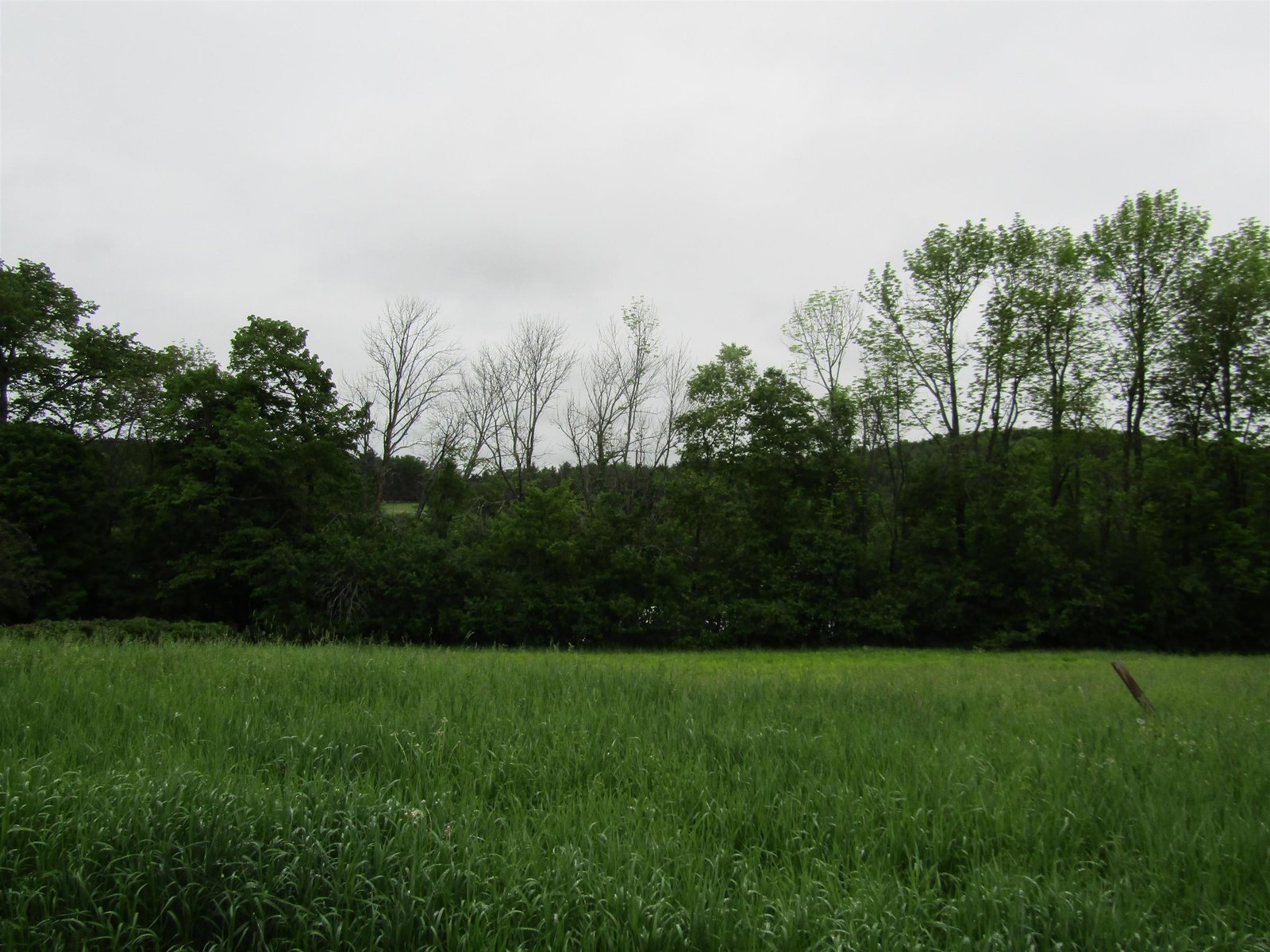 Lot 5 Countryside Drive, Barre Town