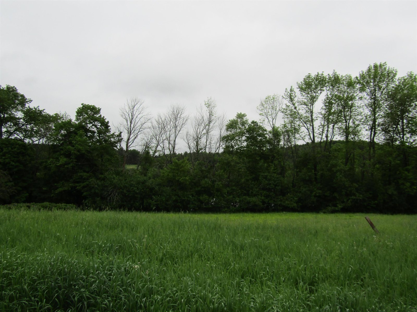 Lot 5 Countryside Drive