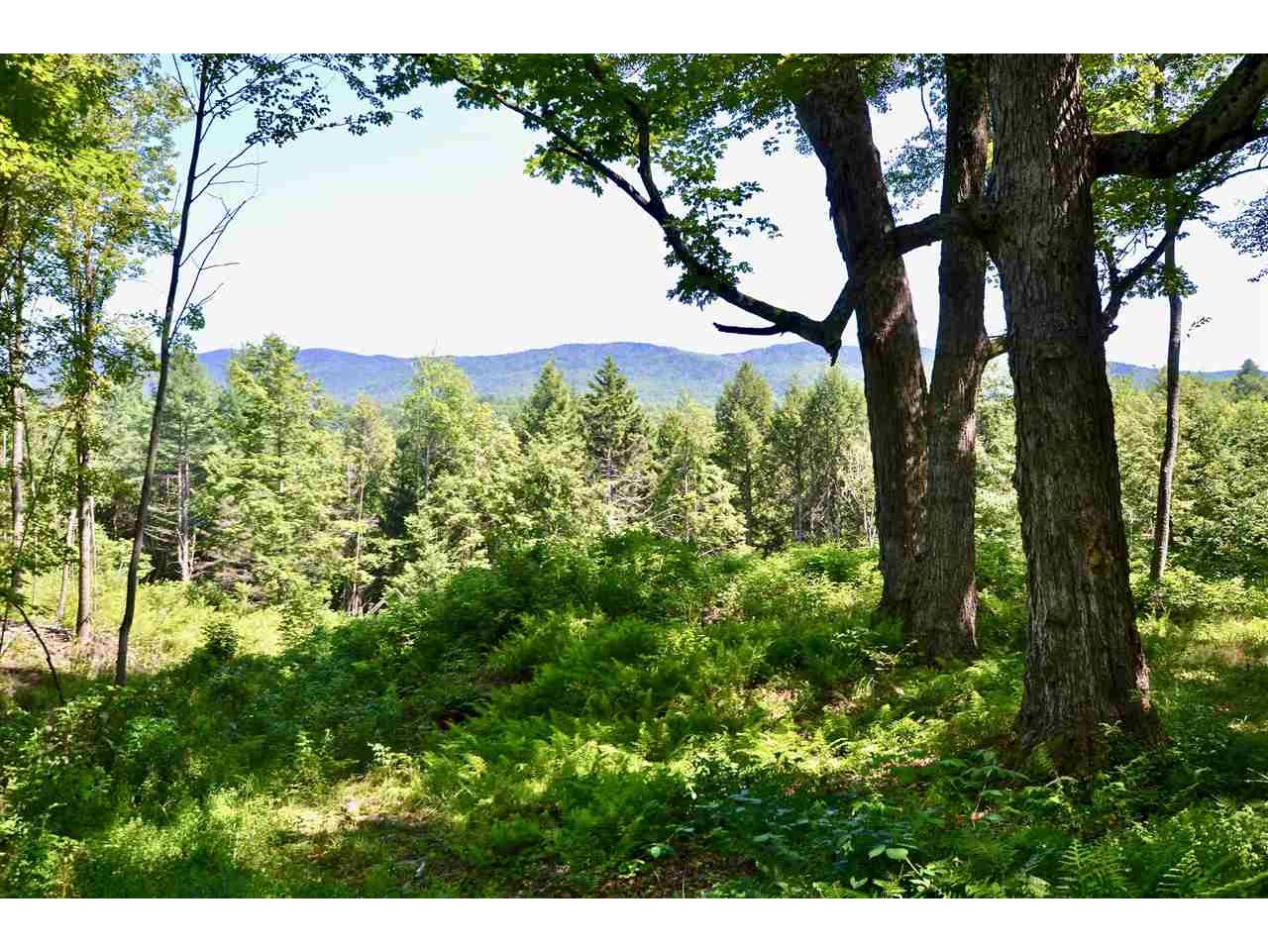 Lot 5 Guptil Road