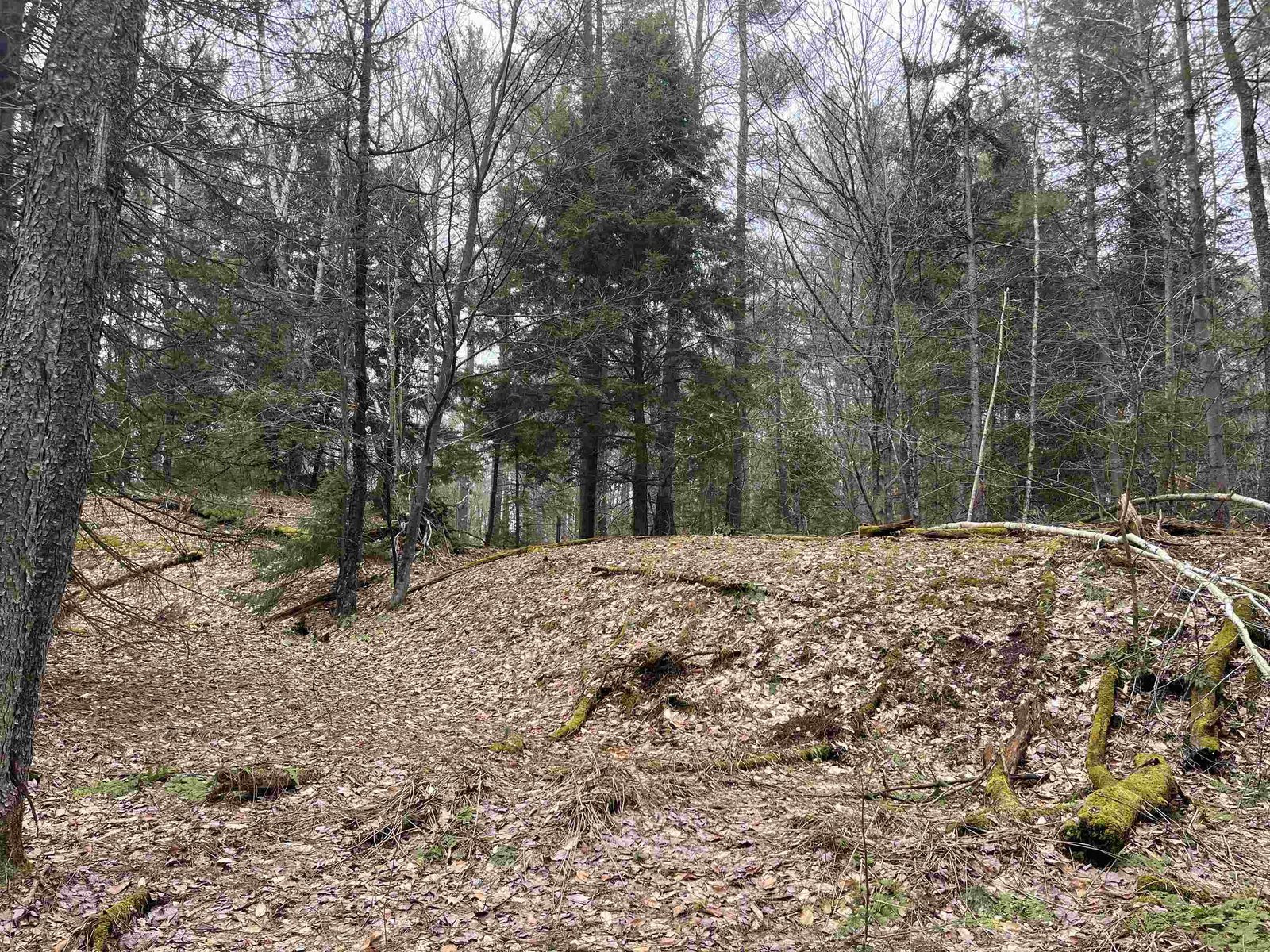 Clearing and stone outcropping at the height of Lot 5