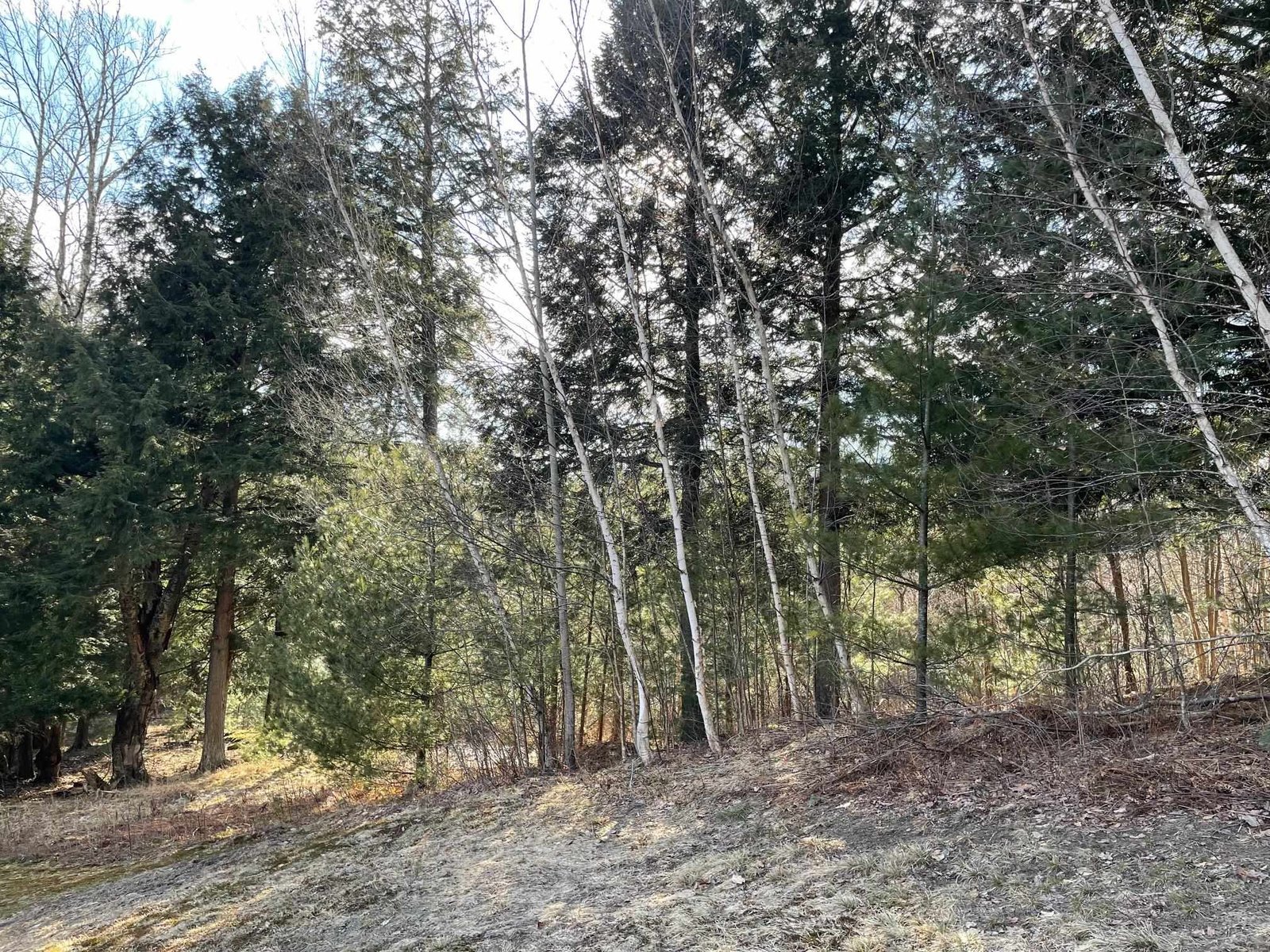 Lot 5 Haley Drive