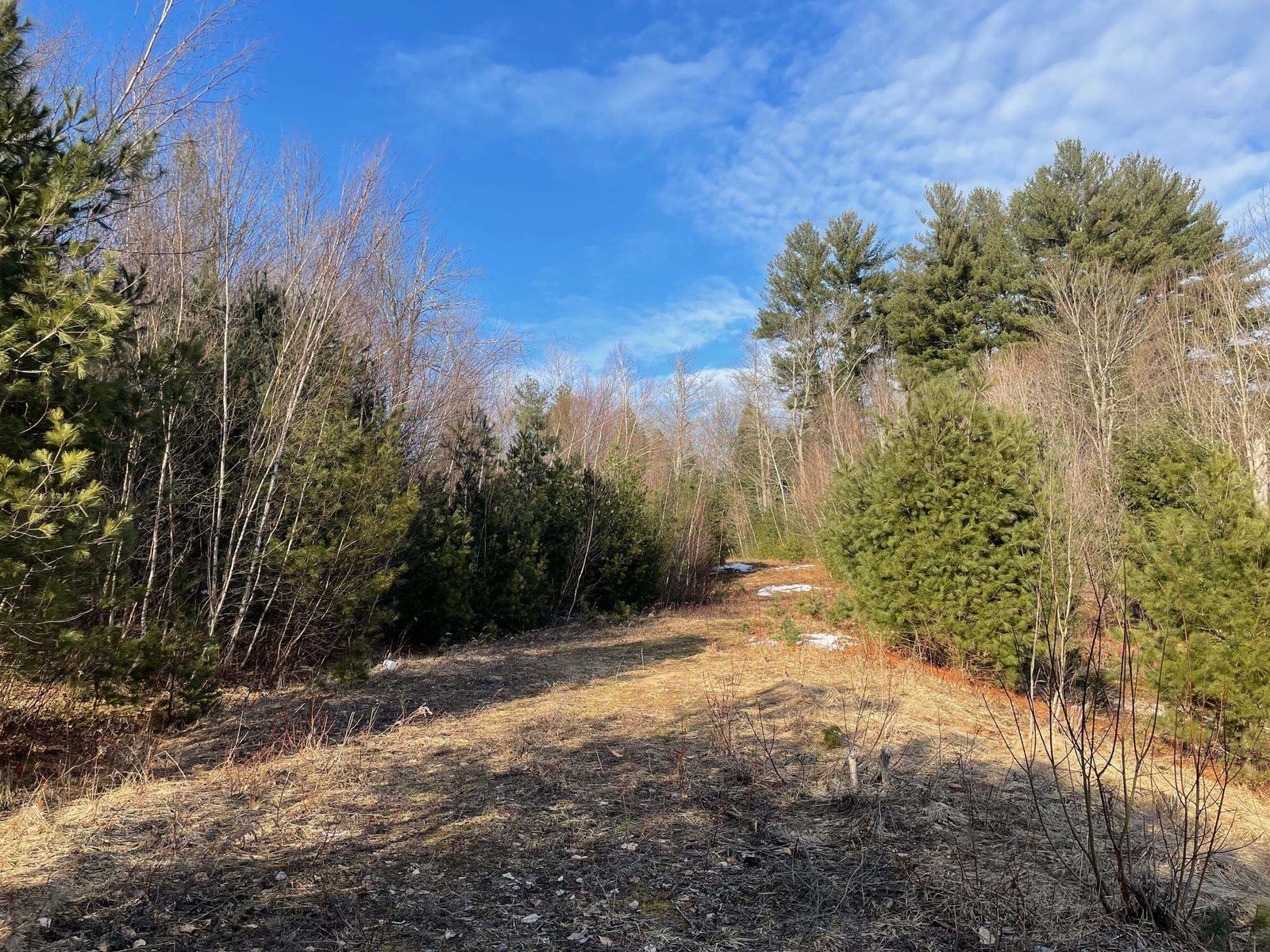 Lot 5 Haley Drive