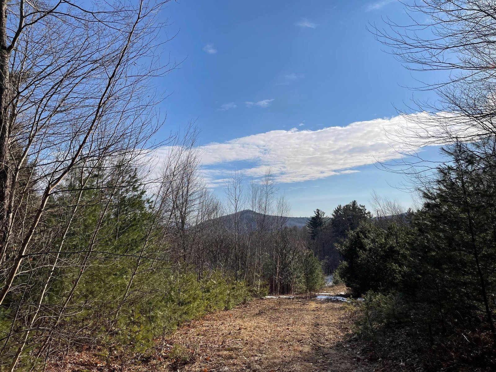 Lot 5 Haley Drive