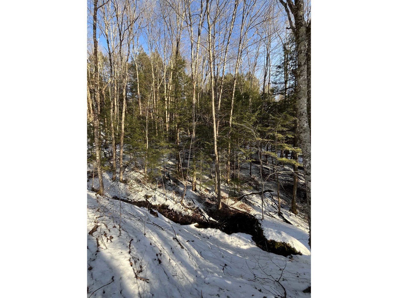 Lot 5 Haley Drive