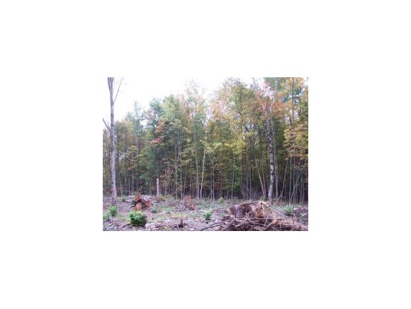 Lot #5 Hardscrabble
