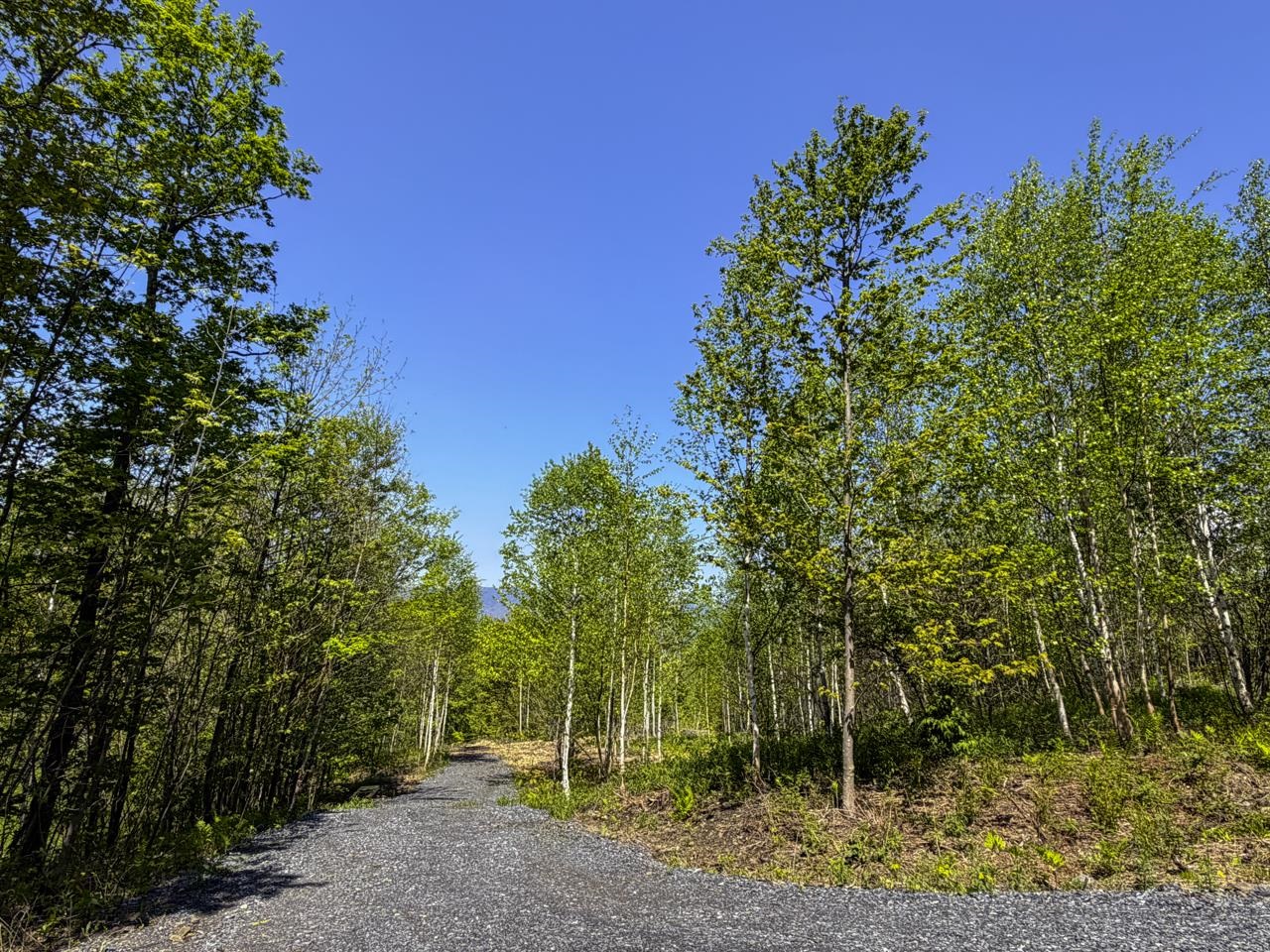 Lot 5 Highview Road