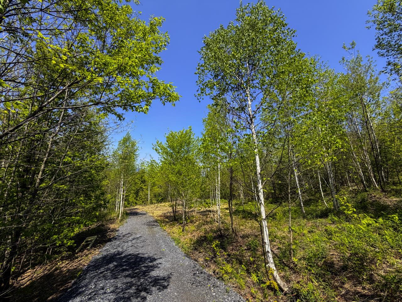 Lot 5 Highview Road