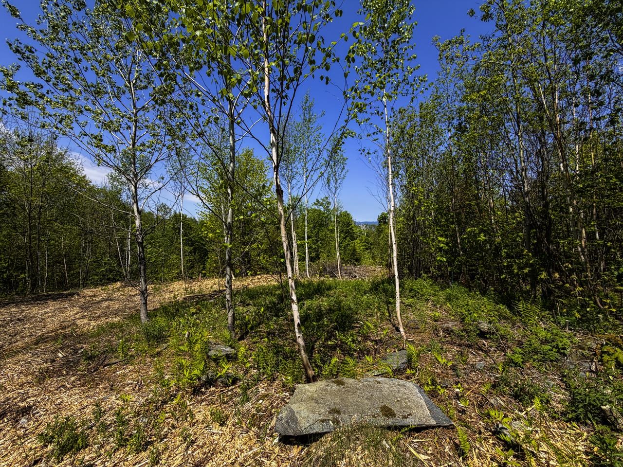 Lot 5 Highview Road