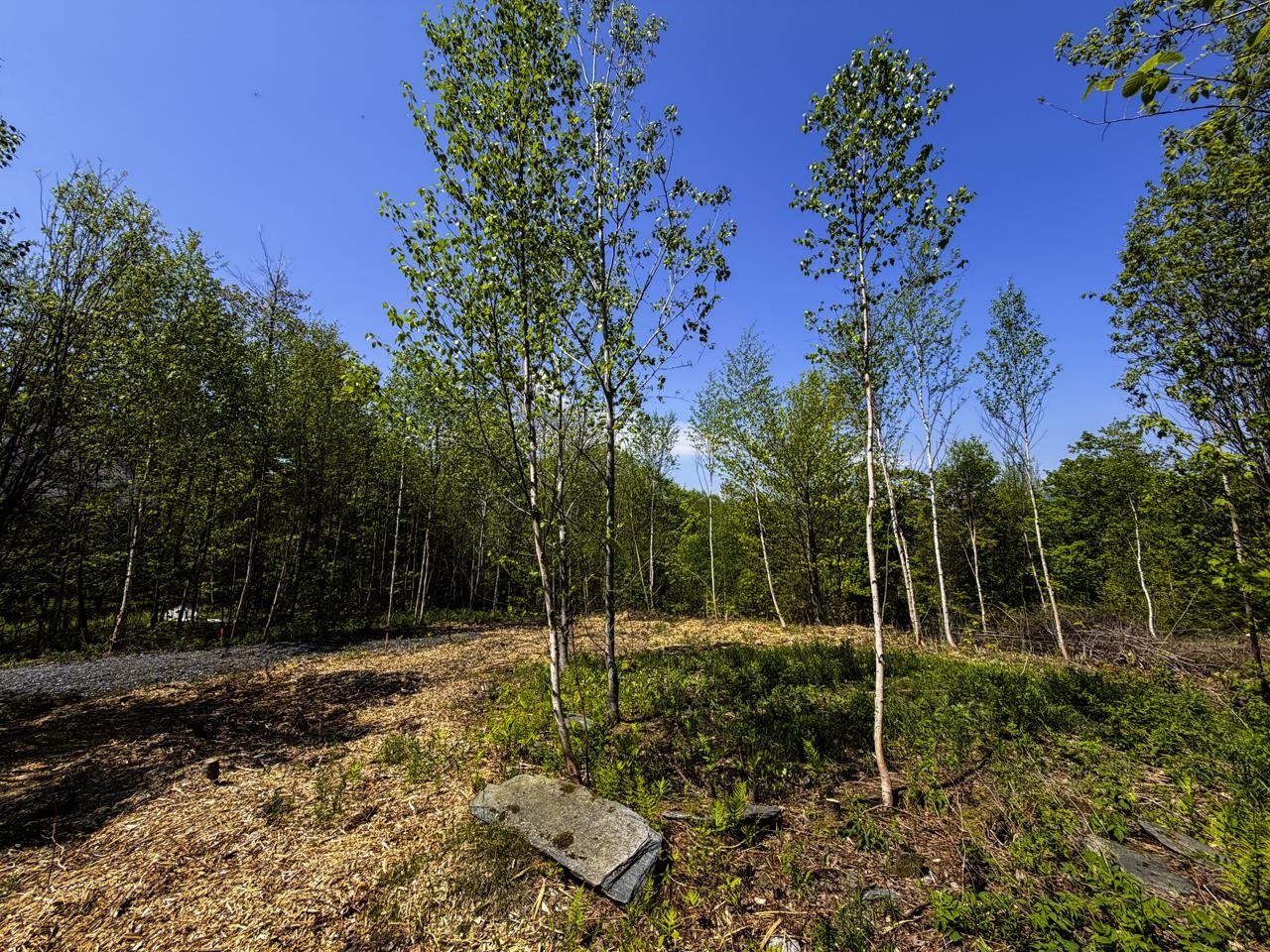 Lot 5 Highview Road