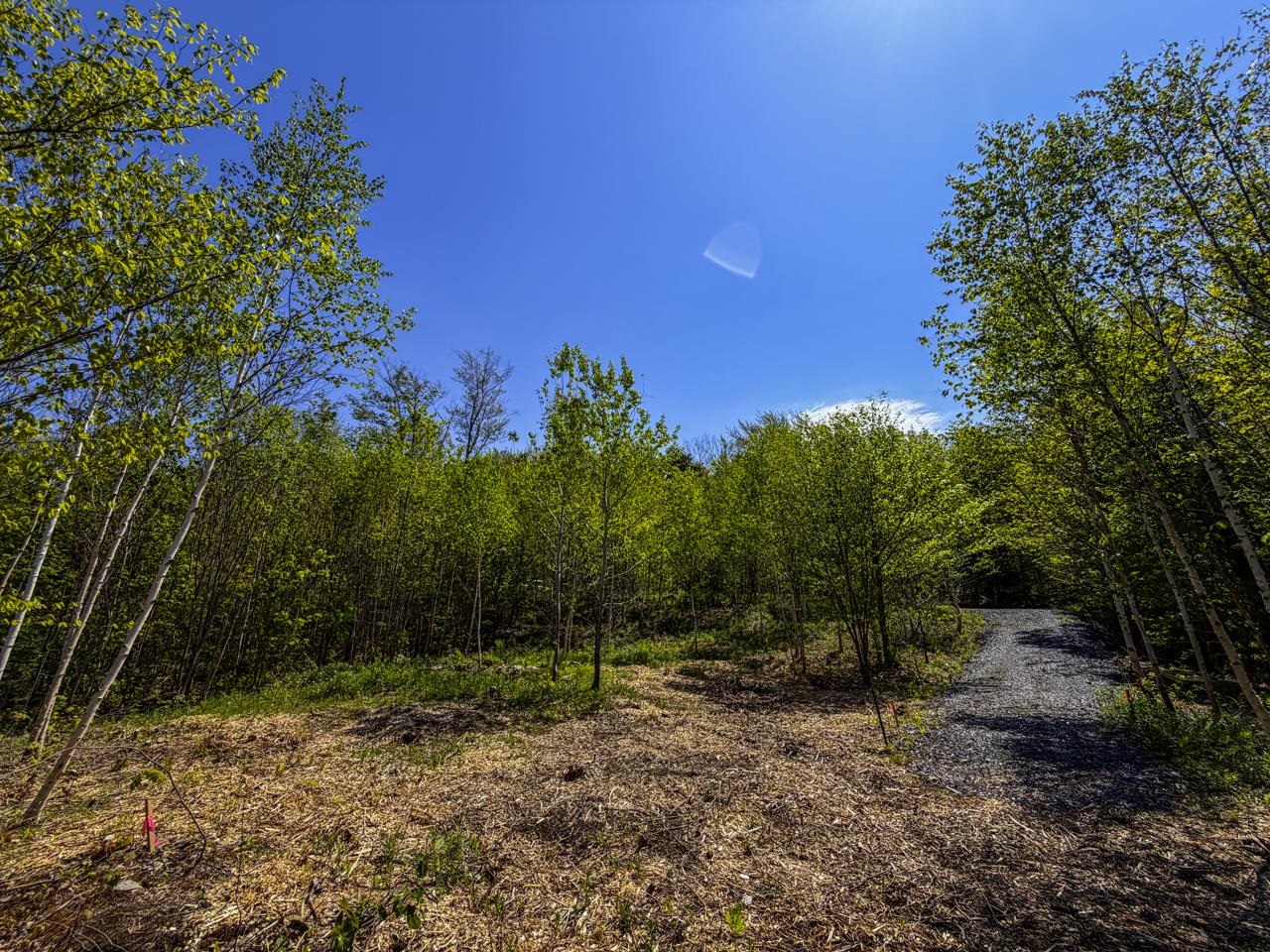 Lot 5 Highview Road