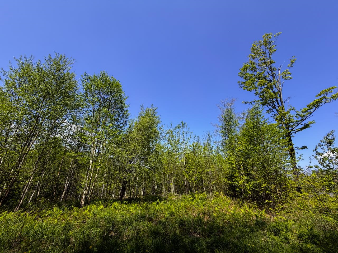 Lot 5 Highview Road
