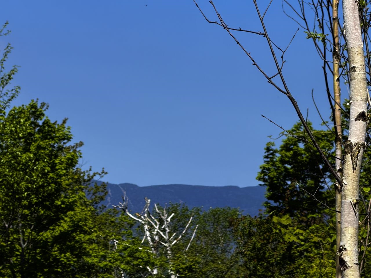 Lot 5 Highview Road