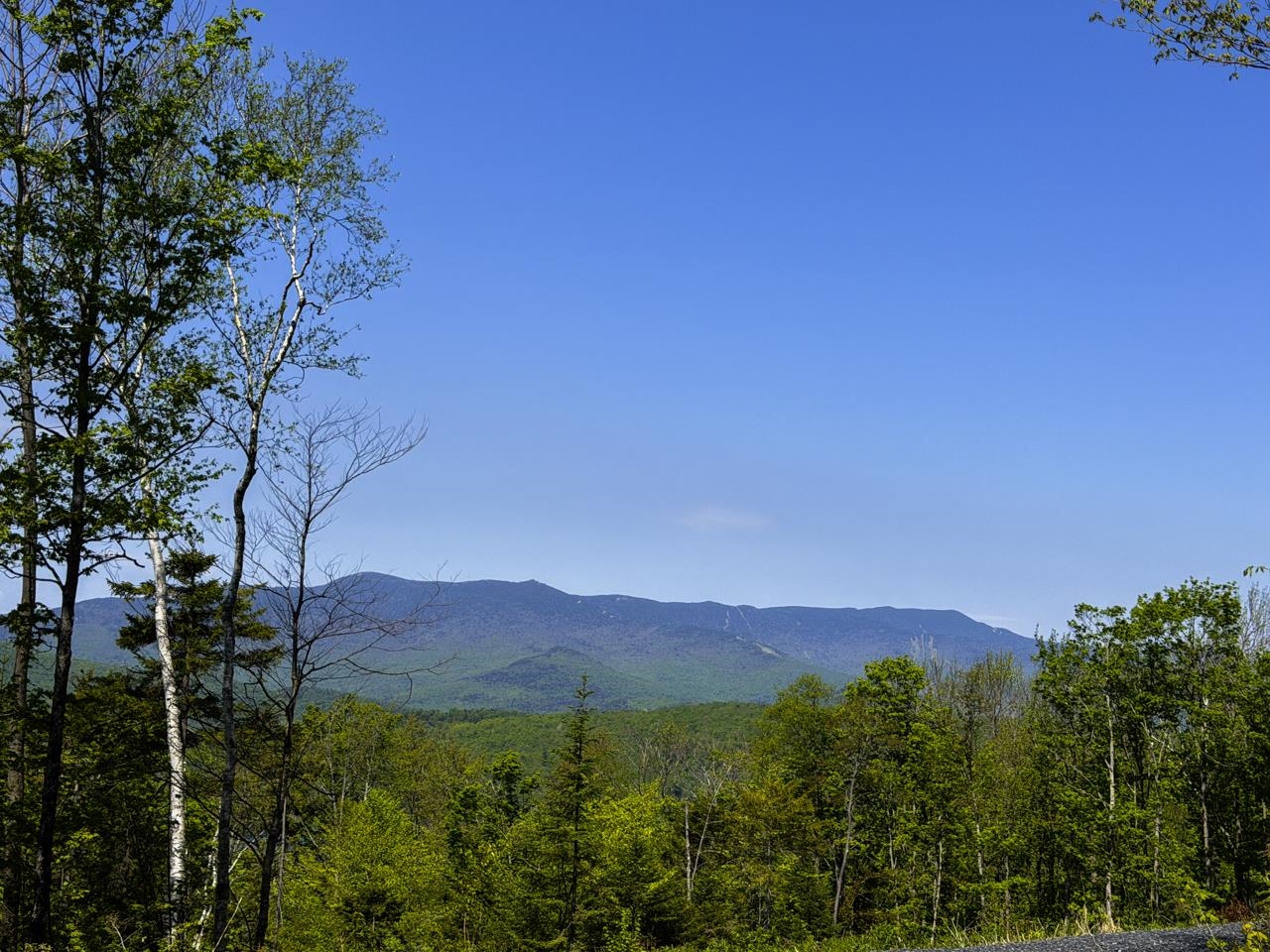 View to Sugarbush from Abutting Lot