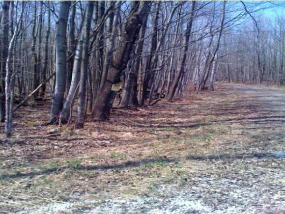 Lot #5 Ruggles Lane