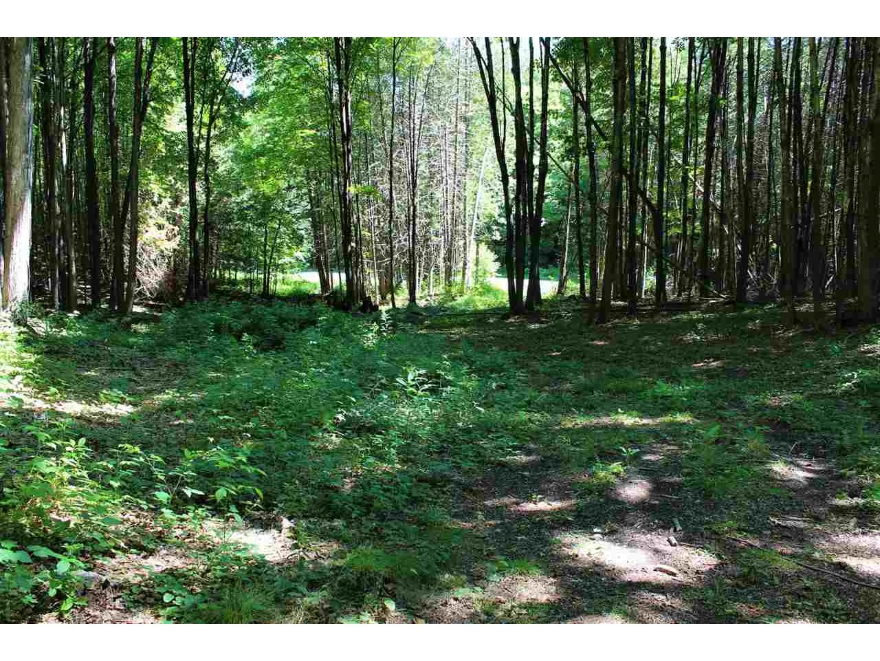 Lot #5 Snowbridge Road