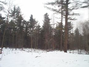 Lot #5 Sycamore ST