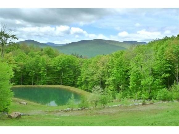 Lot 54A Robinson Springs Road