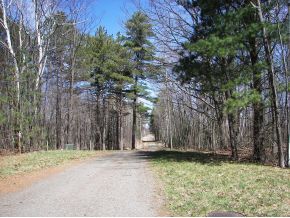 Lot #58 00 Cherry Lane