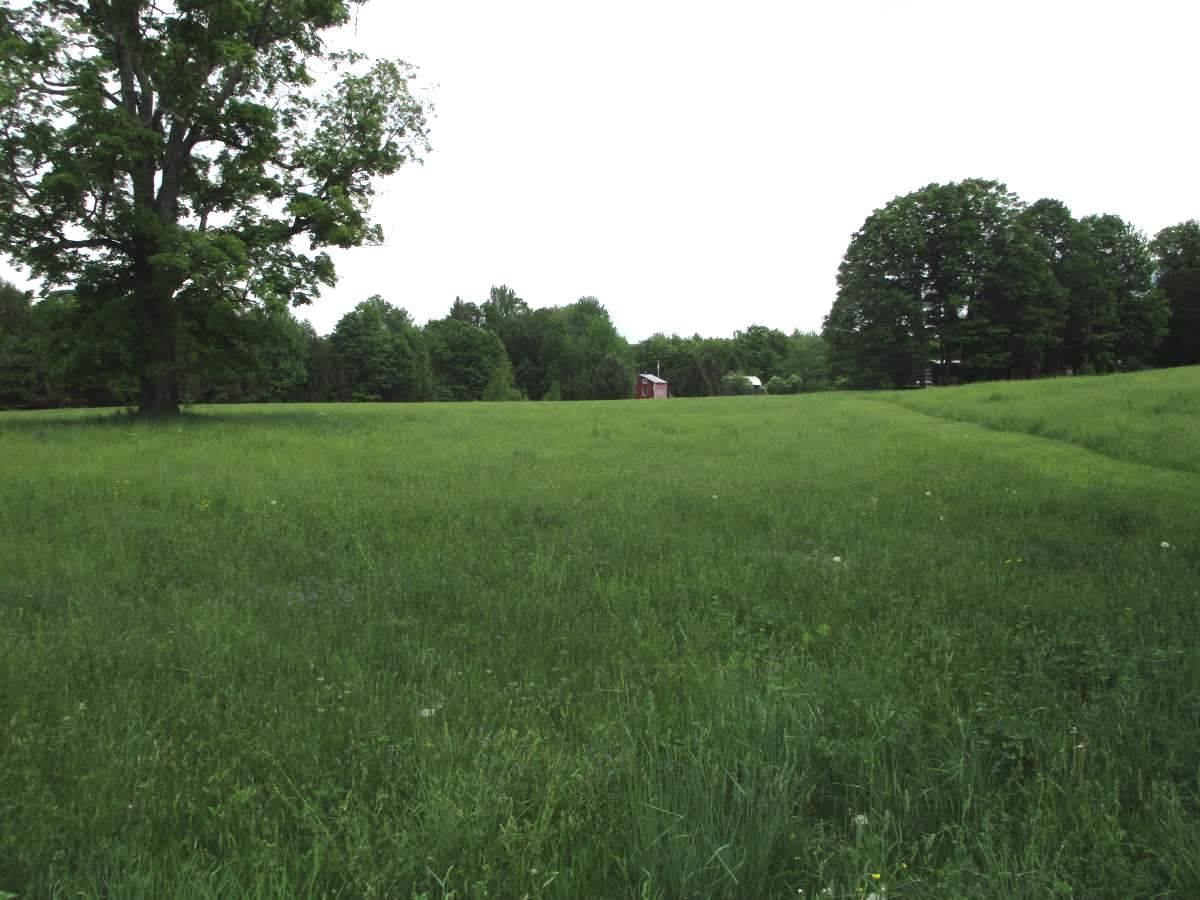 Lot 6 Bud's Way