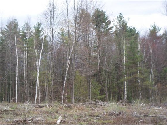 Lot 6 Governor Chittenden Rd