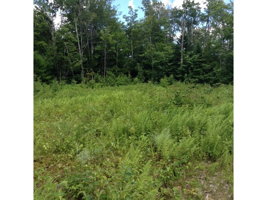 Lot 6 VT Route 242
