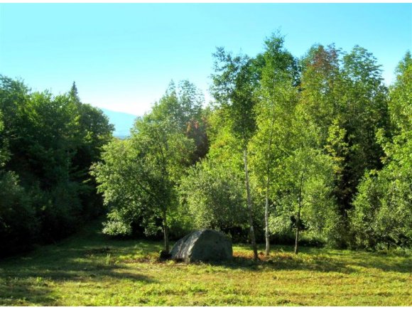 Lot 6 Wolf Den