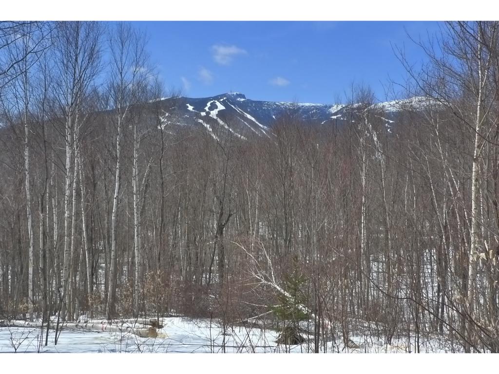 Lot 69 Thomas Pasture