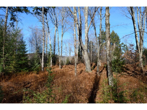 Lot 7 Alpine View