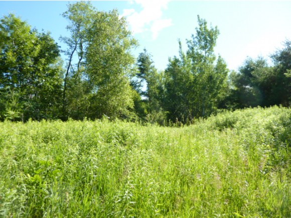 lot 7 Bear Pond