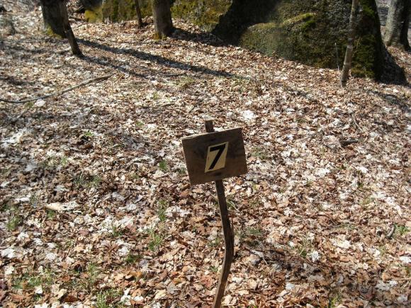 Lot 7 Big Rock Road