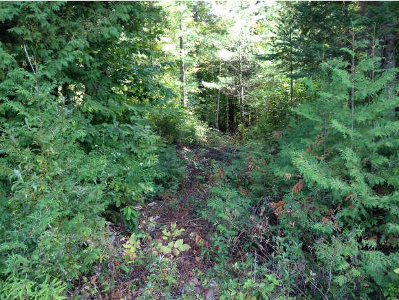 Lot #7 Coits Pond Road