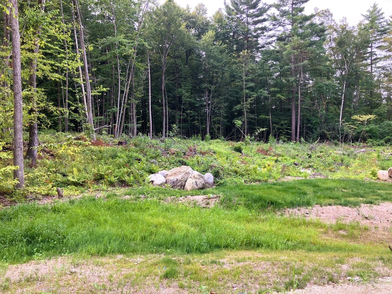 Permitted for 4-bedroom septic