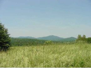 Lot #7 Oak Ridge Estates