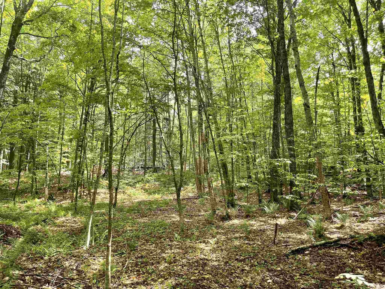 Lot #7 Woodland Drive