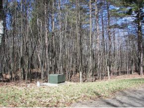 Lot #72 Cherry